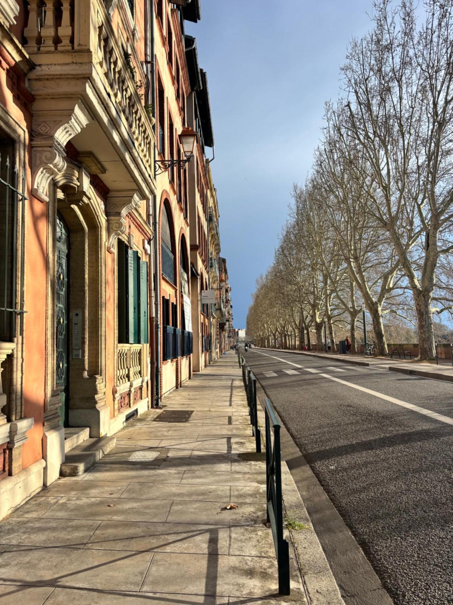 L'ecrin De Tounis - Appartement Toulouse